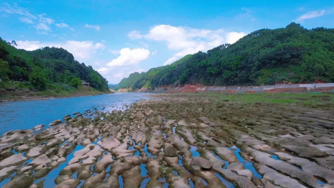 川渝滇旅行攻略合集之「成都-眉山-乐山」最新岷江风景人文自驾游路线宝藏分享