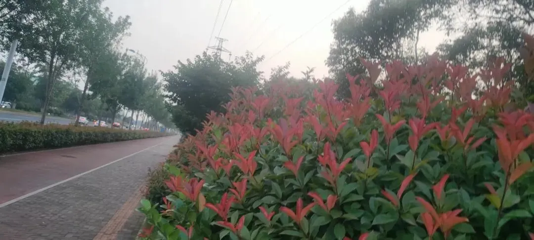 日照旅游攻略:拼车出行与当地靓仔聊天,我用手机记录如下内容