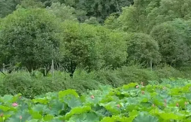 郑许线游玩指南:景点+下车站点+出站口
