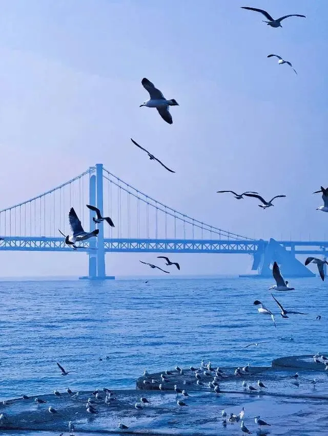 辽宁省大连亲子旅游攻略|星海广场+老虎滩+金石滩,7月带娃去海边刚刚好