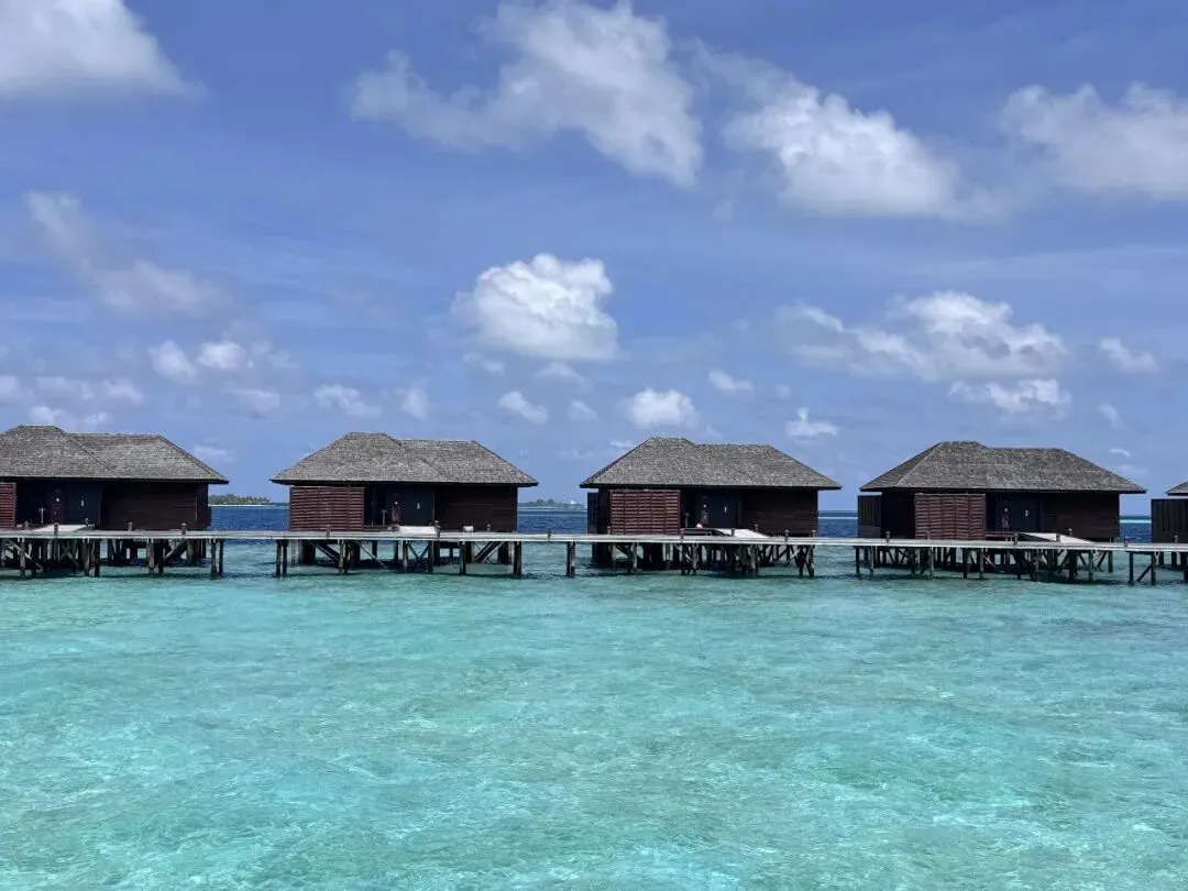 人生必去的玻璃海|马尔代夫莉莉岛保姆级旅游攻略