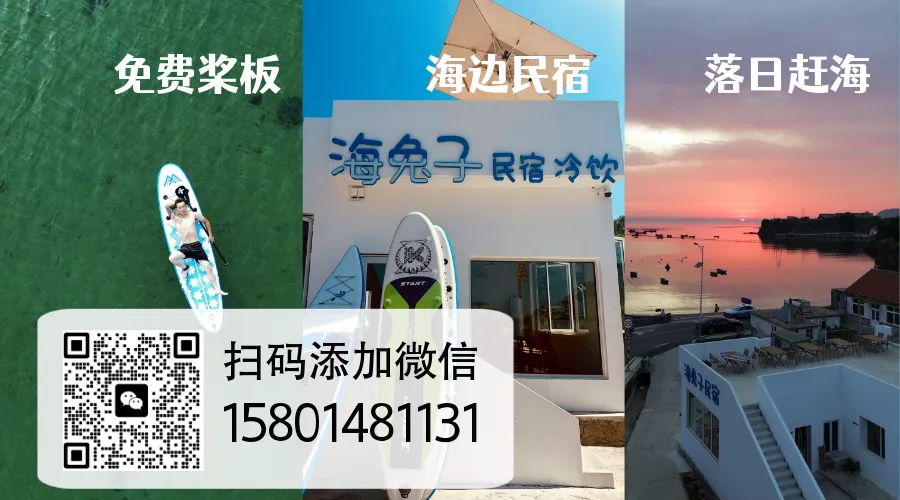 7 月獐子岛完整旅游攻略(旺季专属,直接照抄)