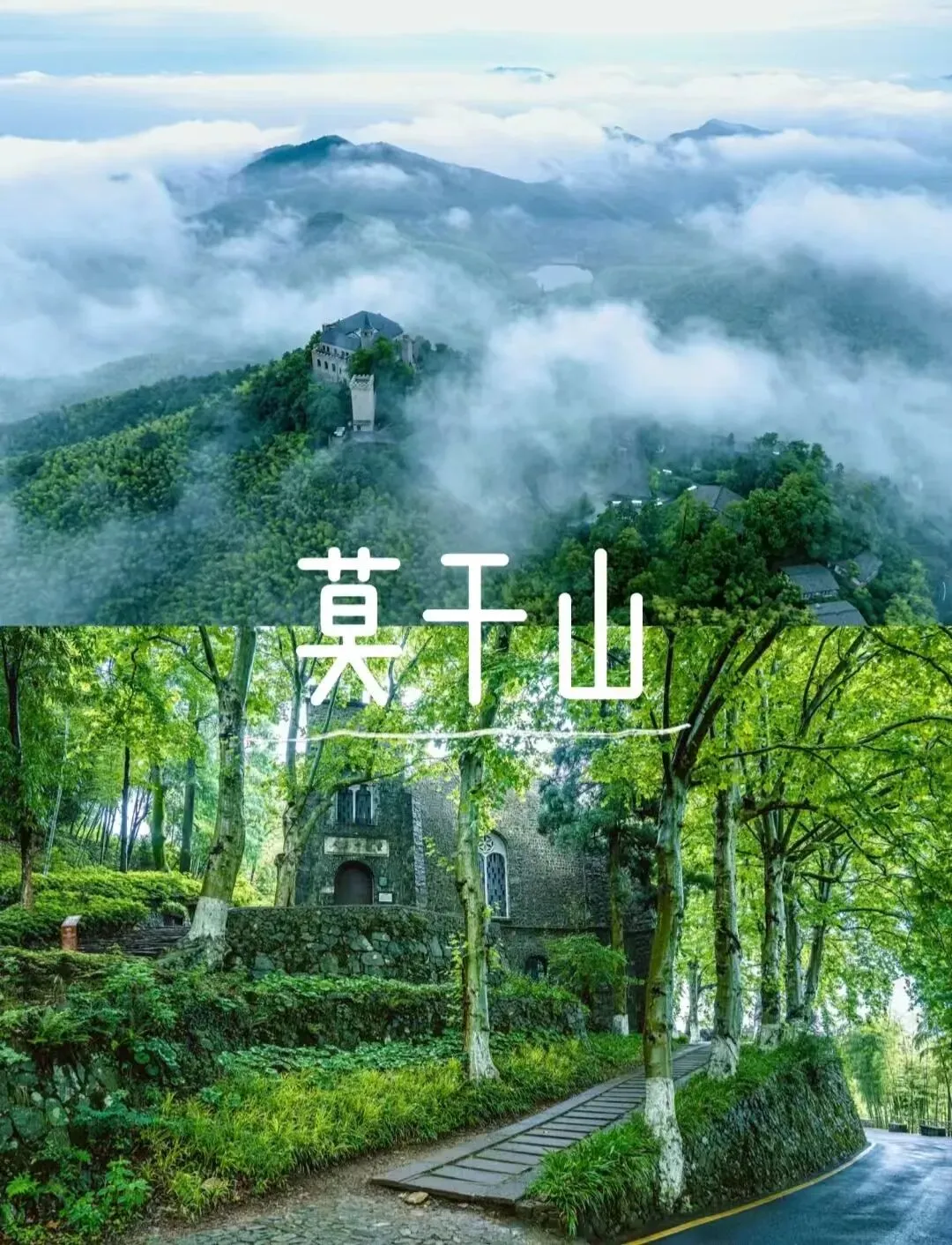 莫干山亲子旅游攻略|暑假遛娃不费妈!23℃竹海清凉度假指南