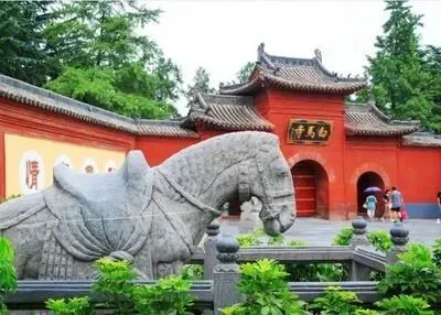 河南旅游避坑指南 老牌靠谱君威旅行社值得选