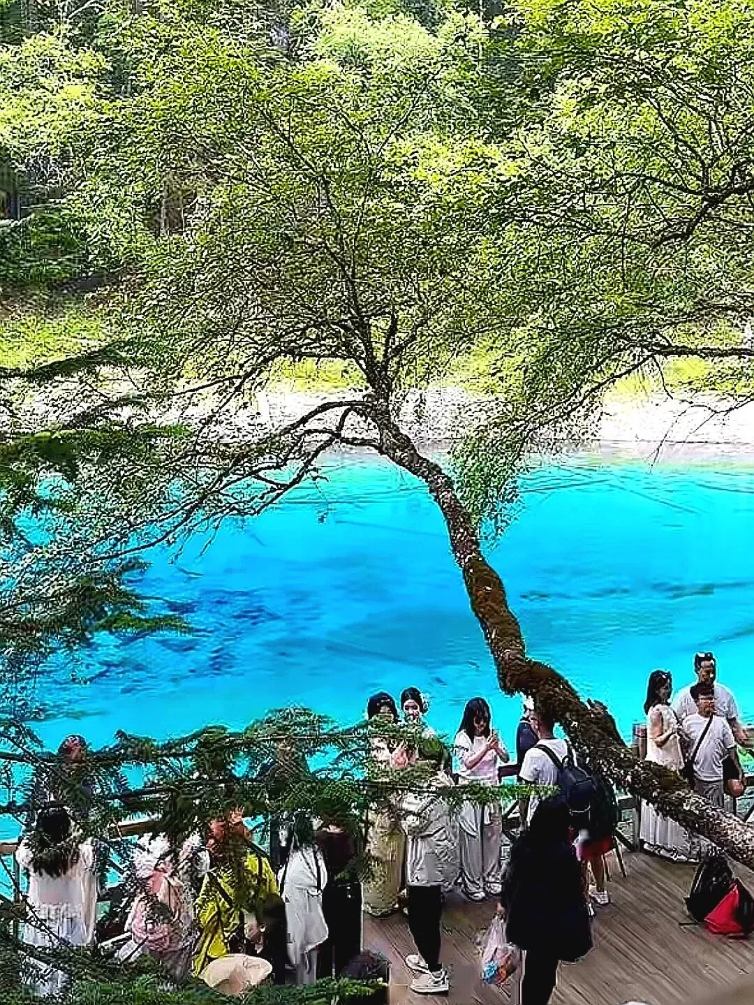 九寨沟旅游攻略|2026最新实测避雷清单,避开90%大坑