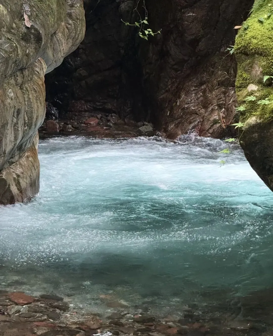 成都直达2h|西岭雪山大飞水景区详细旅游攻略,夏天避暑、不费腿、玩水天花板,带娃必冲!