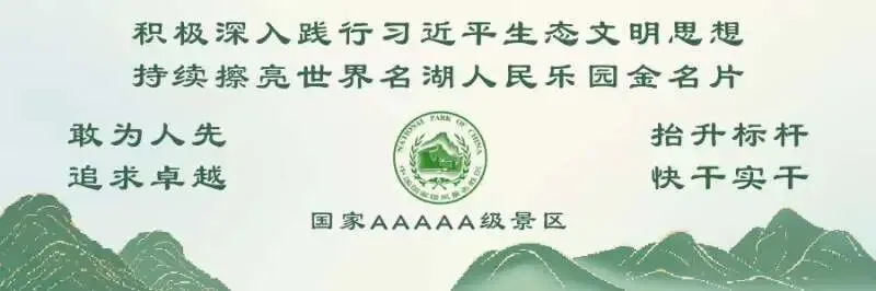 东湖夏日游玩攻略:赏荷玩水追日落,解锁江城“清凉一夏”