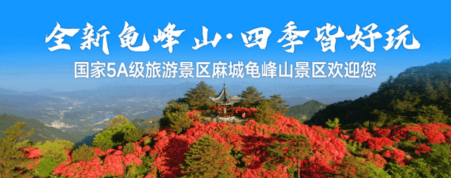 龟峰山夏日不完全游玩指南