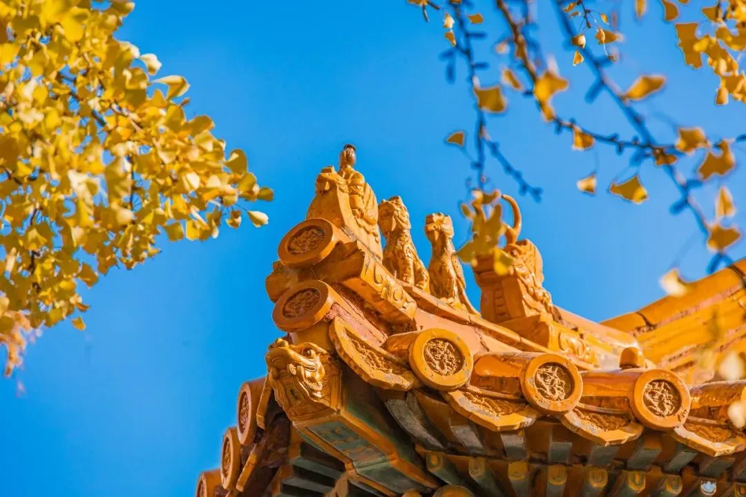 2026暑期北京游玩好去处!本地旅行社推出适配多人群定制小团