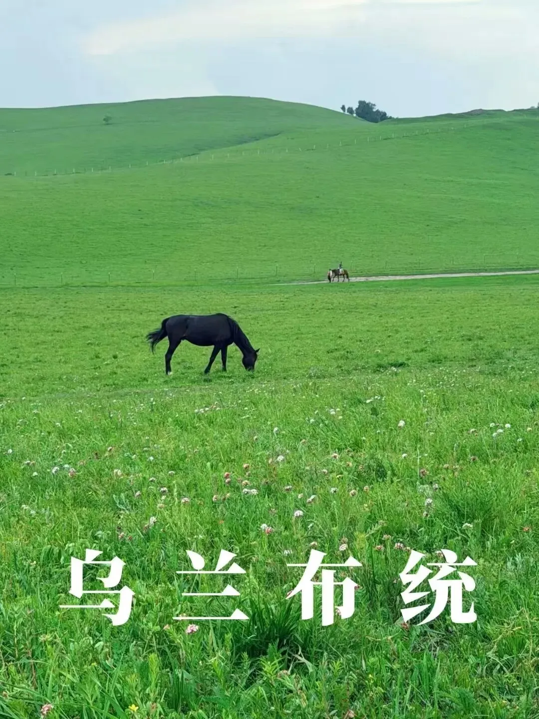 暑假旅游攻略7月旅游目的地推荐!赤峰乌兰布统草原避暑出游治愈