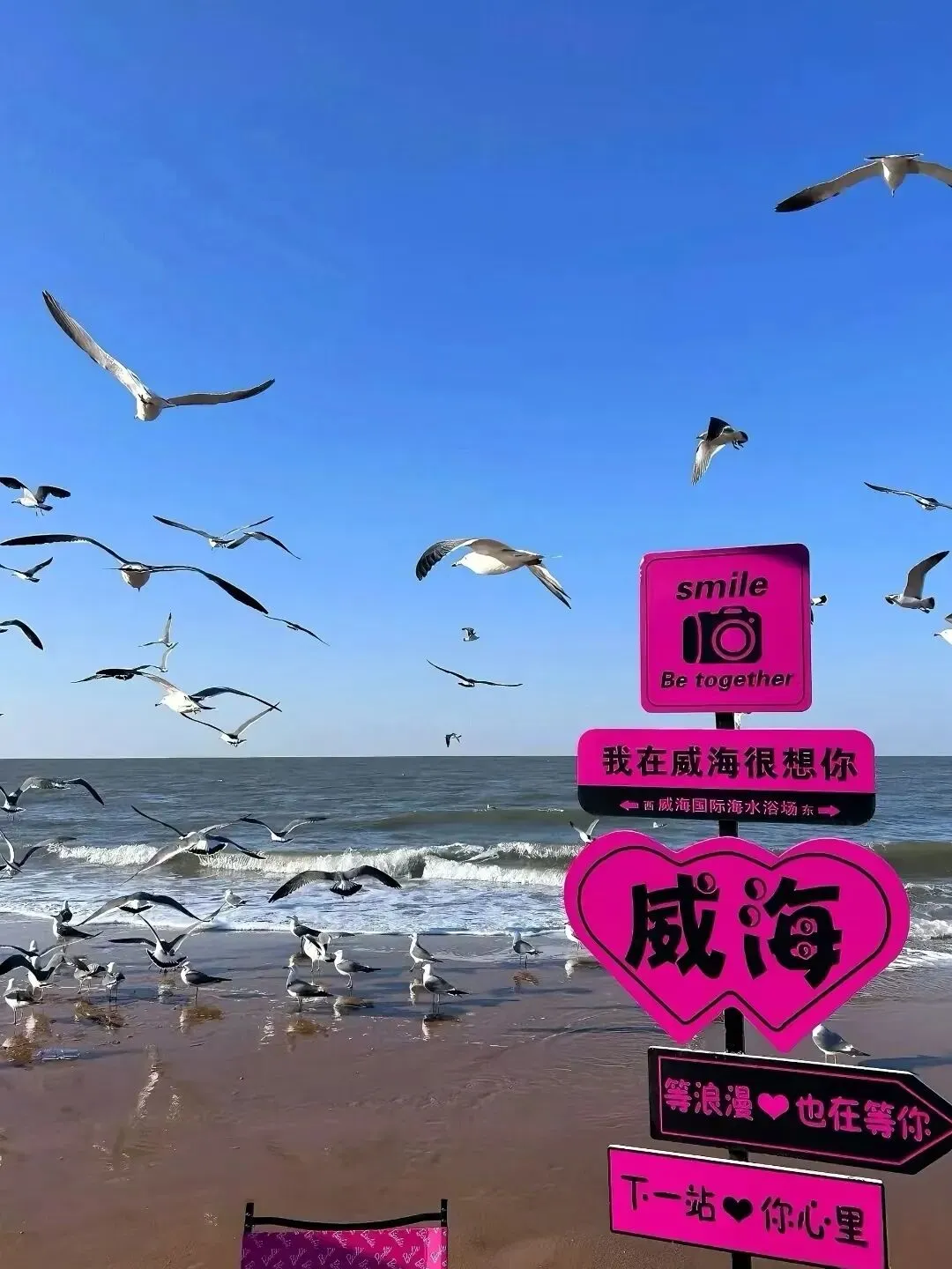 2026威海保姆级旅游攻略,十大核心景点,3天2晚轻松逛遍山海小城