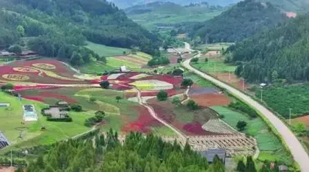 黔东南麻江旅游全攻略|蓝莓之乡 + 花海苗寨 + 状元古址