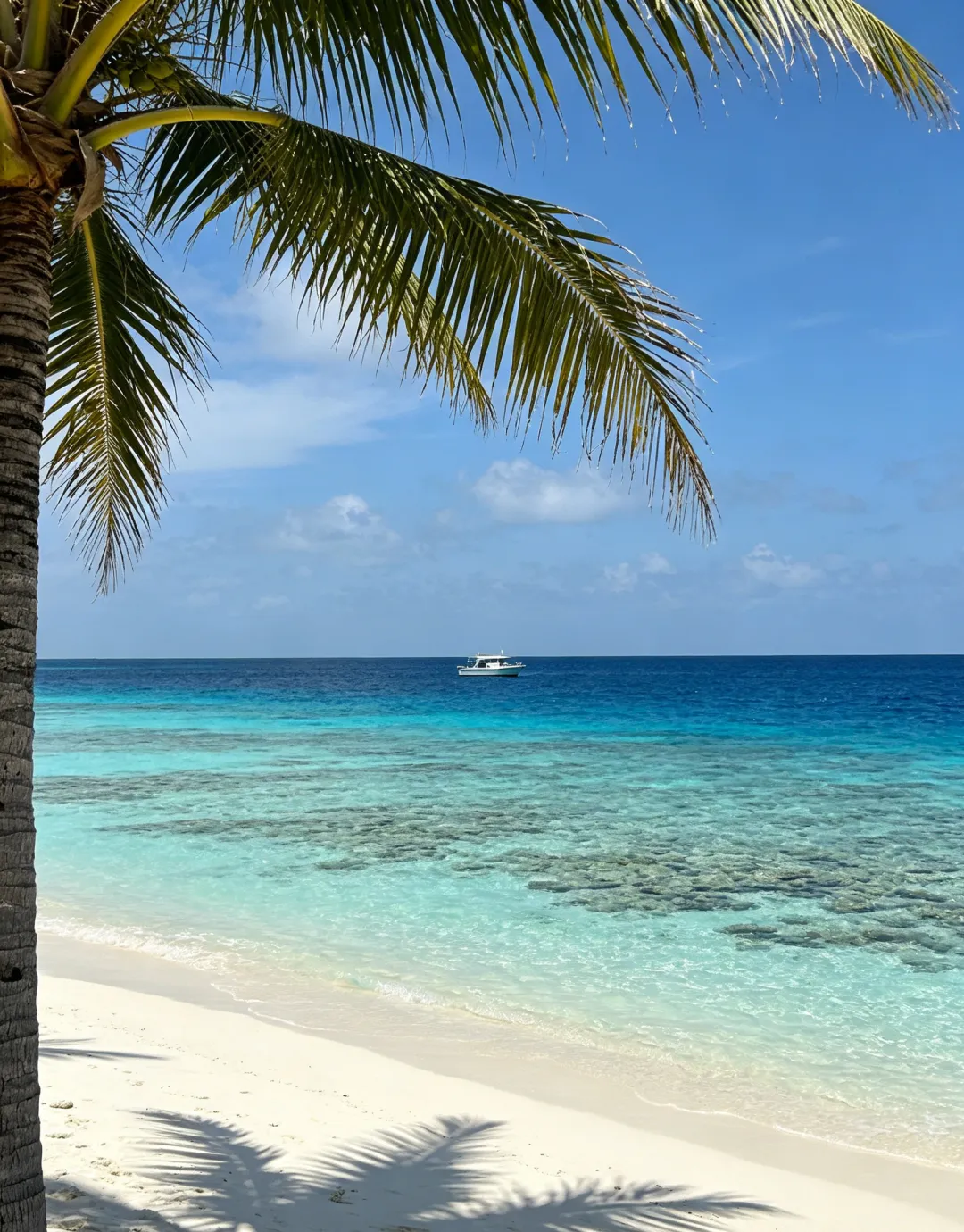 西沙旅游攻略|西沙群岛几月份去好?旅游要求+靠谱旅行社全整理