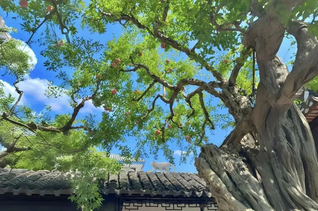 7 月十二星座避雷指南!旅行、搞钱、恋爱全提醒,看完少踩一半坑