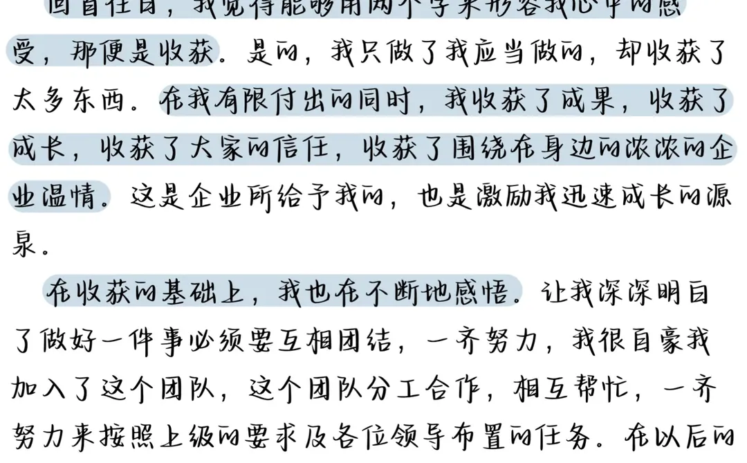 被领导表扬的👍🏻职场新人年终工作总结1.0