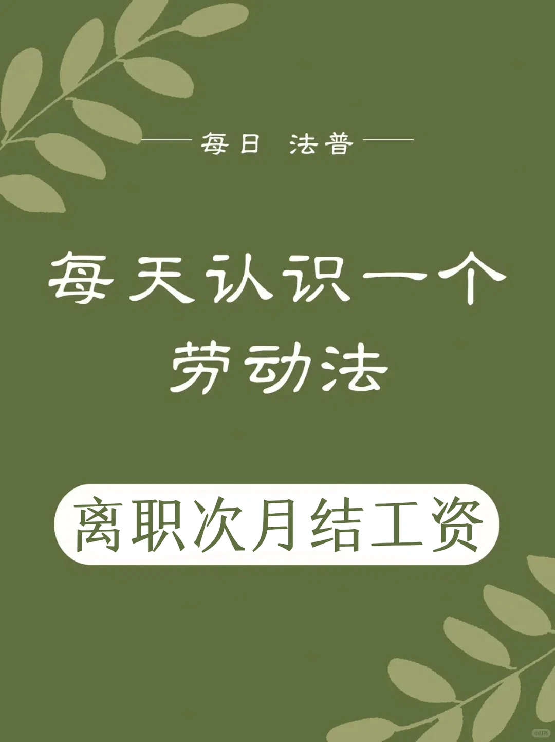 每天认识一个劳动法丨离职次月结工资