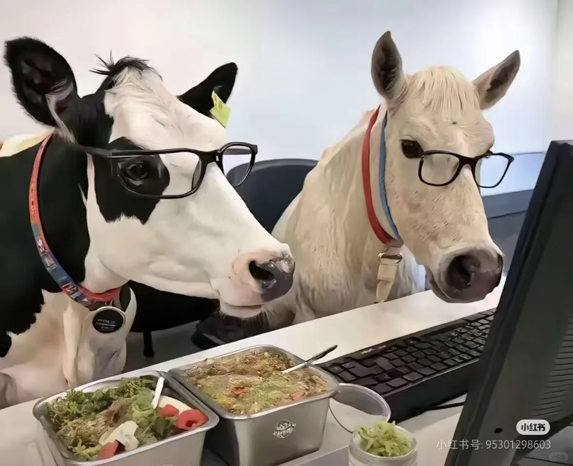 周结小时工+工期到8月底+不体检，