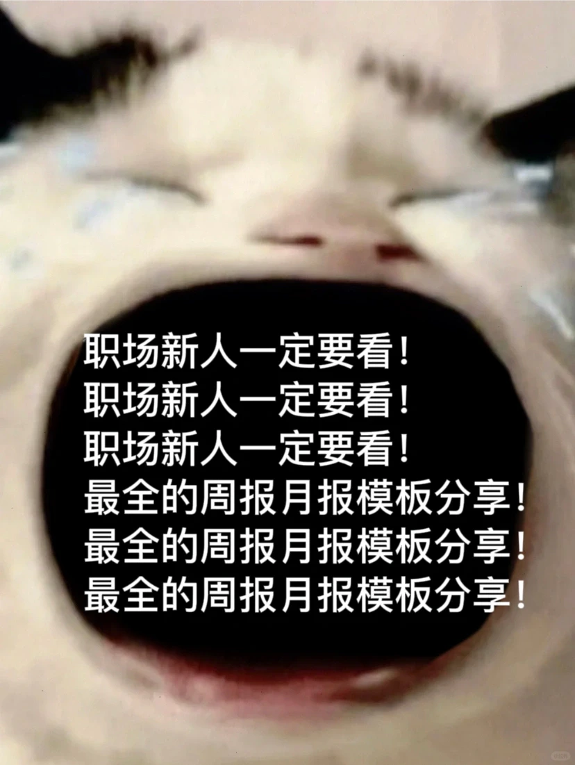 纯干货🔥被问爆的周报模板大公开❕❕❕