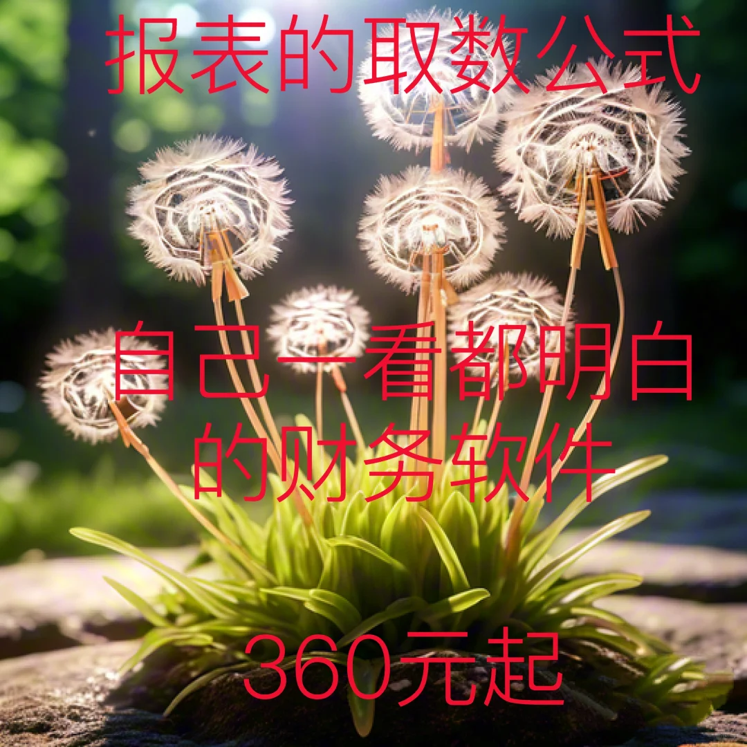 报表取数公式会计一看就明白的软件有吗