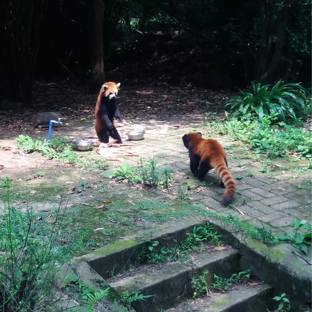 想看一些女生看的电影～-夜雨聆风