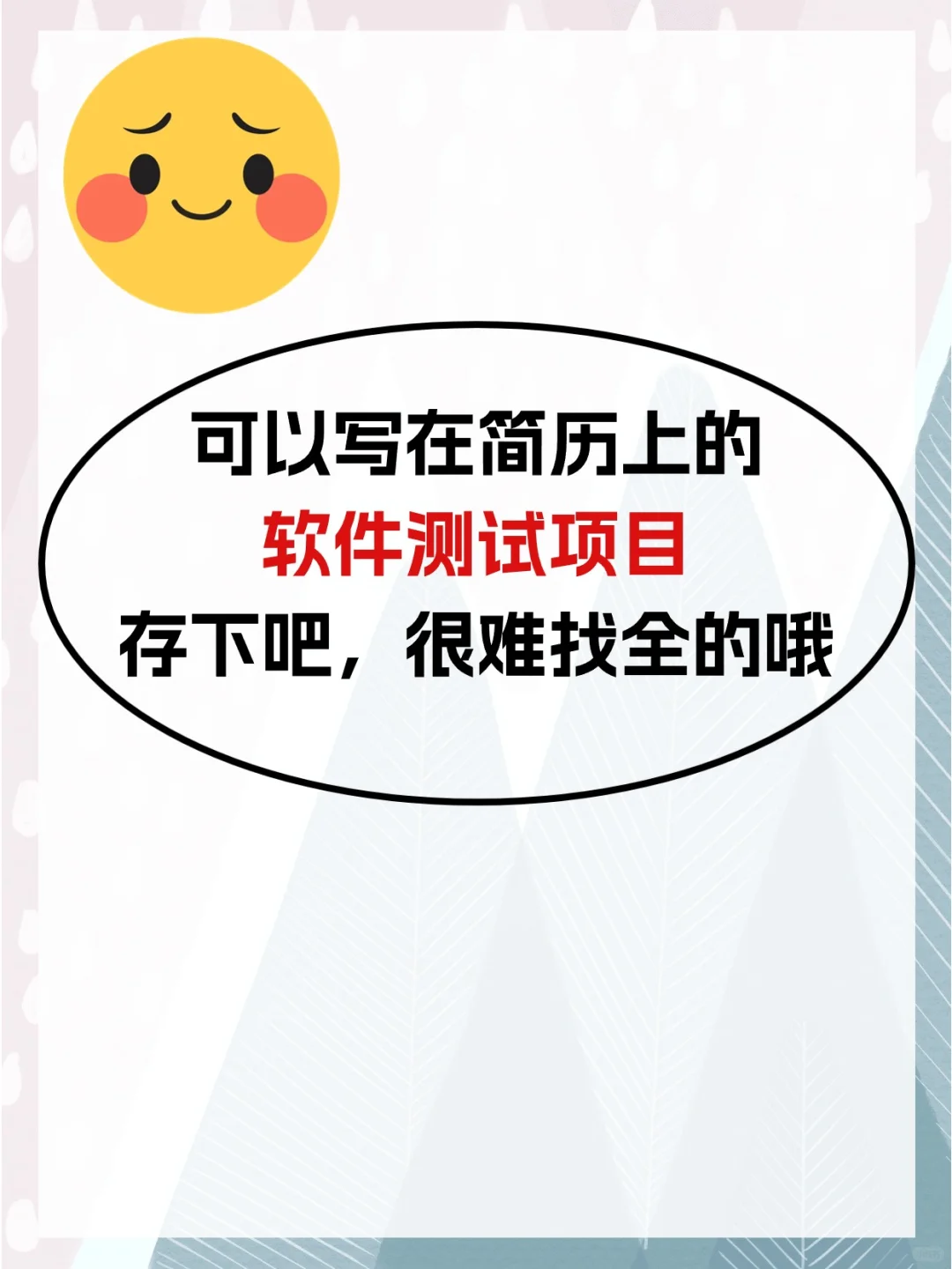 可以写在简历上的软件测试项目！