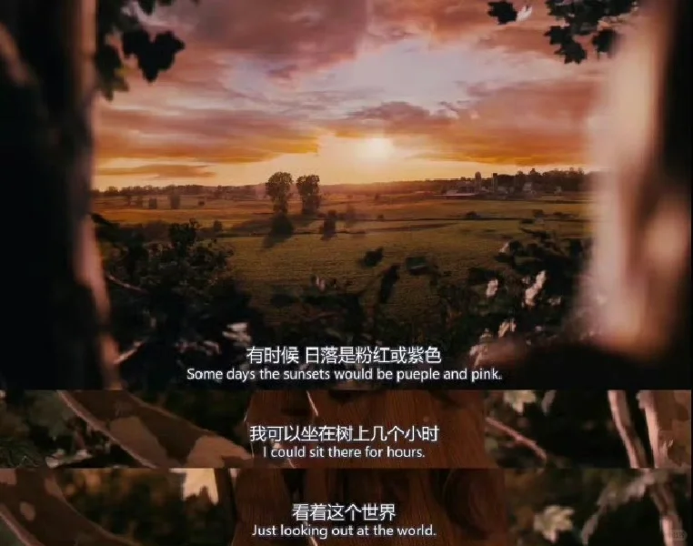 一组很赞的电影台词截图