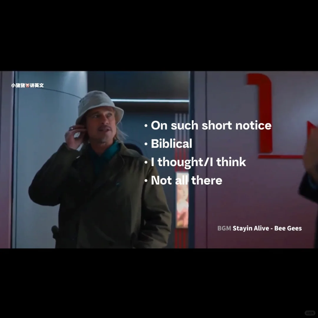 先睹为快！《子弹列车》电影英文知识学习