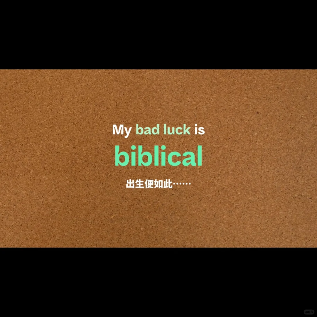 先睹为快！《子弹列车》电影英文知识学习