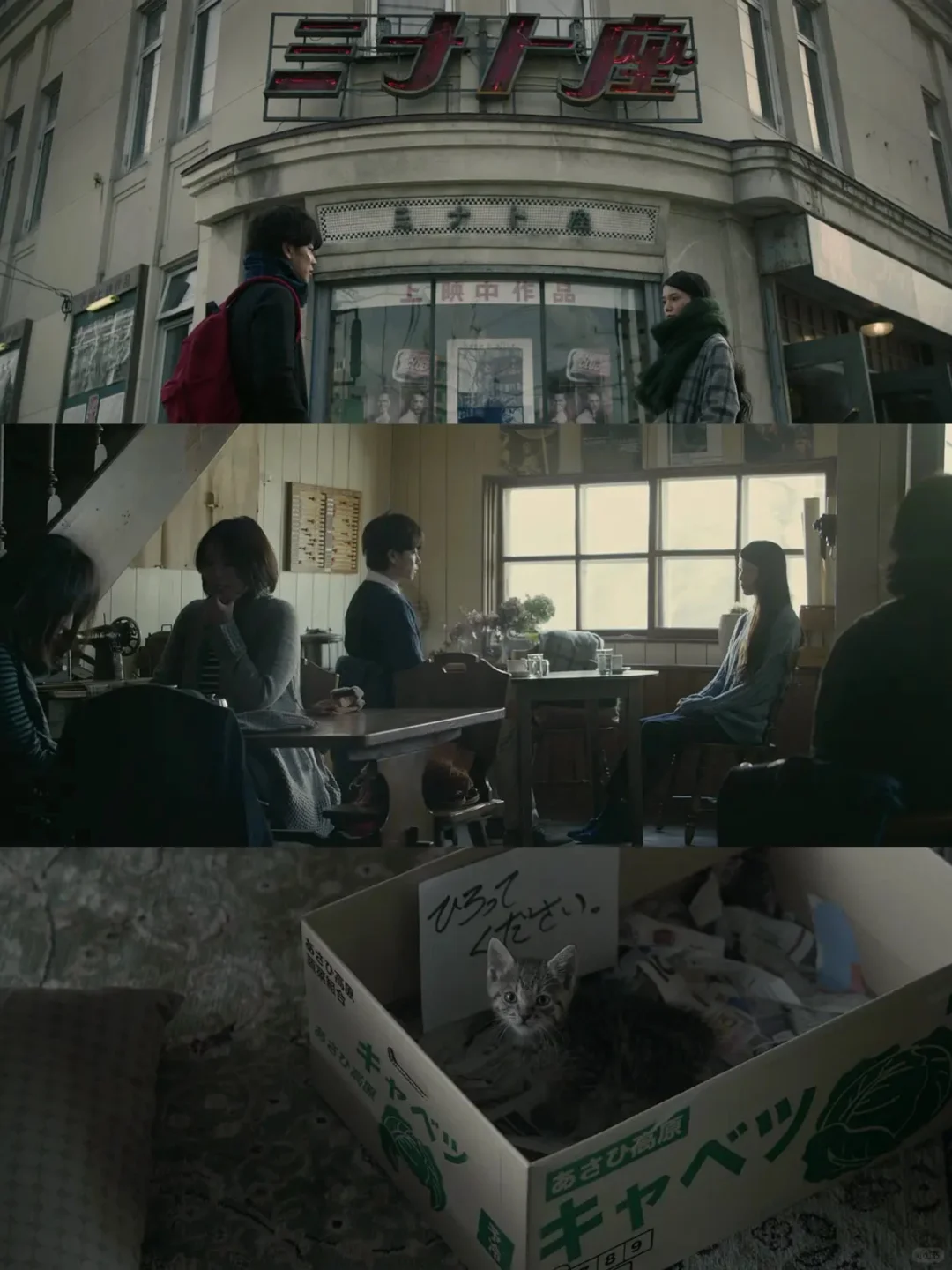 今年看过后劲最大的电影😭没有之一❗❗❗