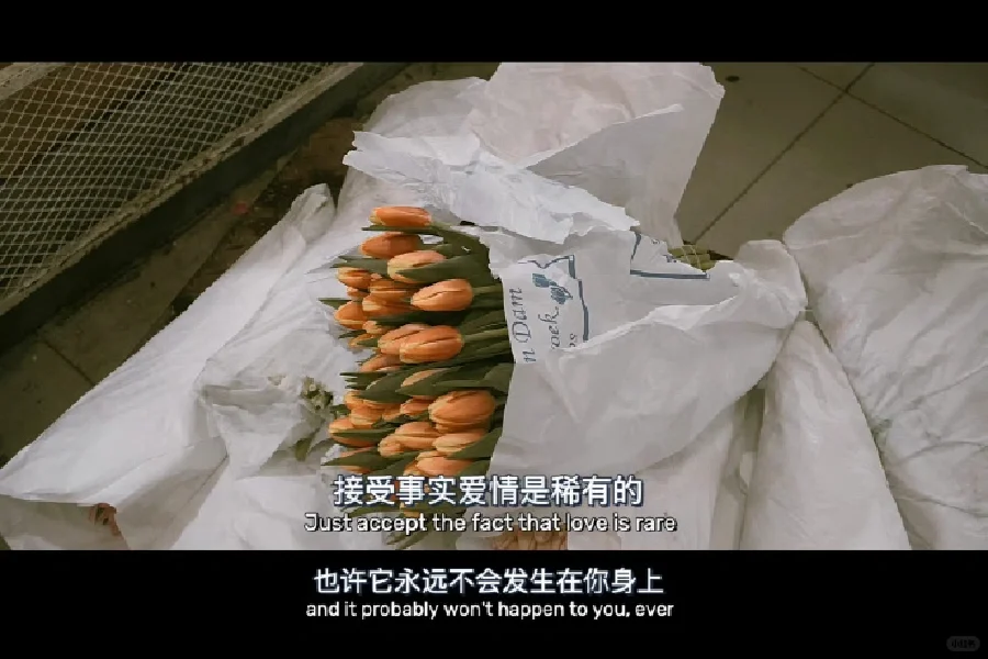 一组很赞的电影台词截图