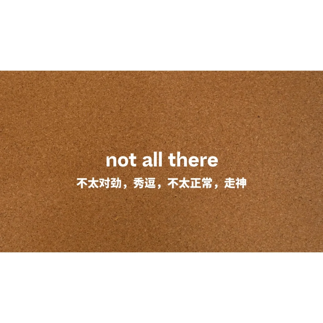 先睹为快！《子弹列车》电影英文知识学习