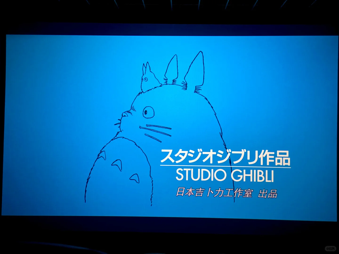 治愈系·宫崎骏｜❤️经典台词+电影赏析✨