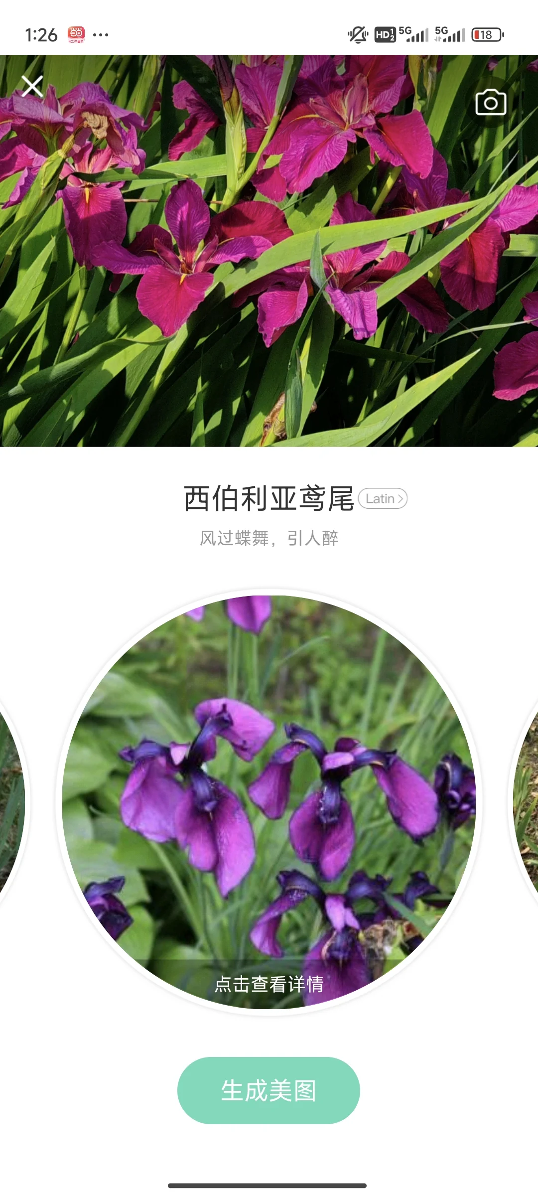 拍花人的福音丨植物分辨app