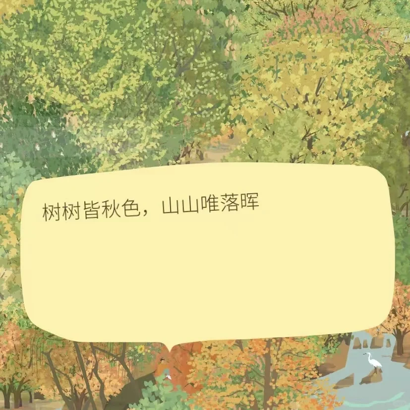 这个到底是什么软件