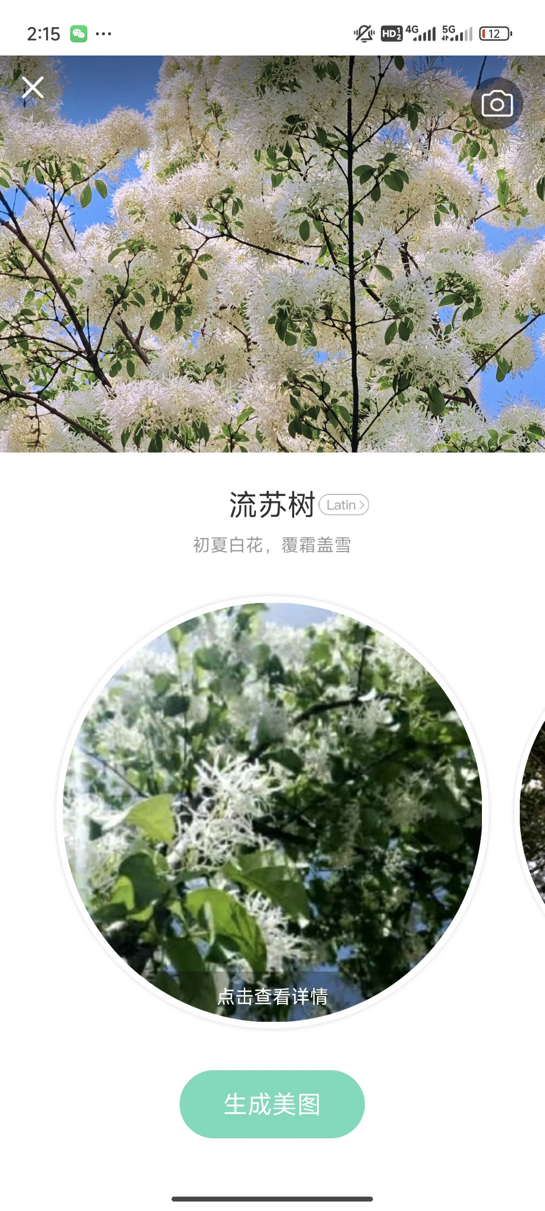 拍花人的福音丨植物分辨app