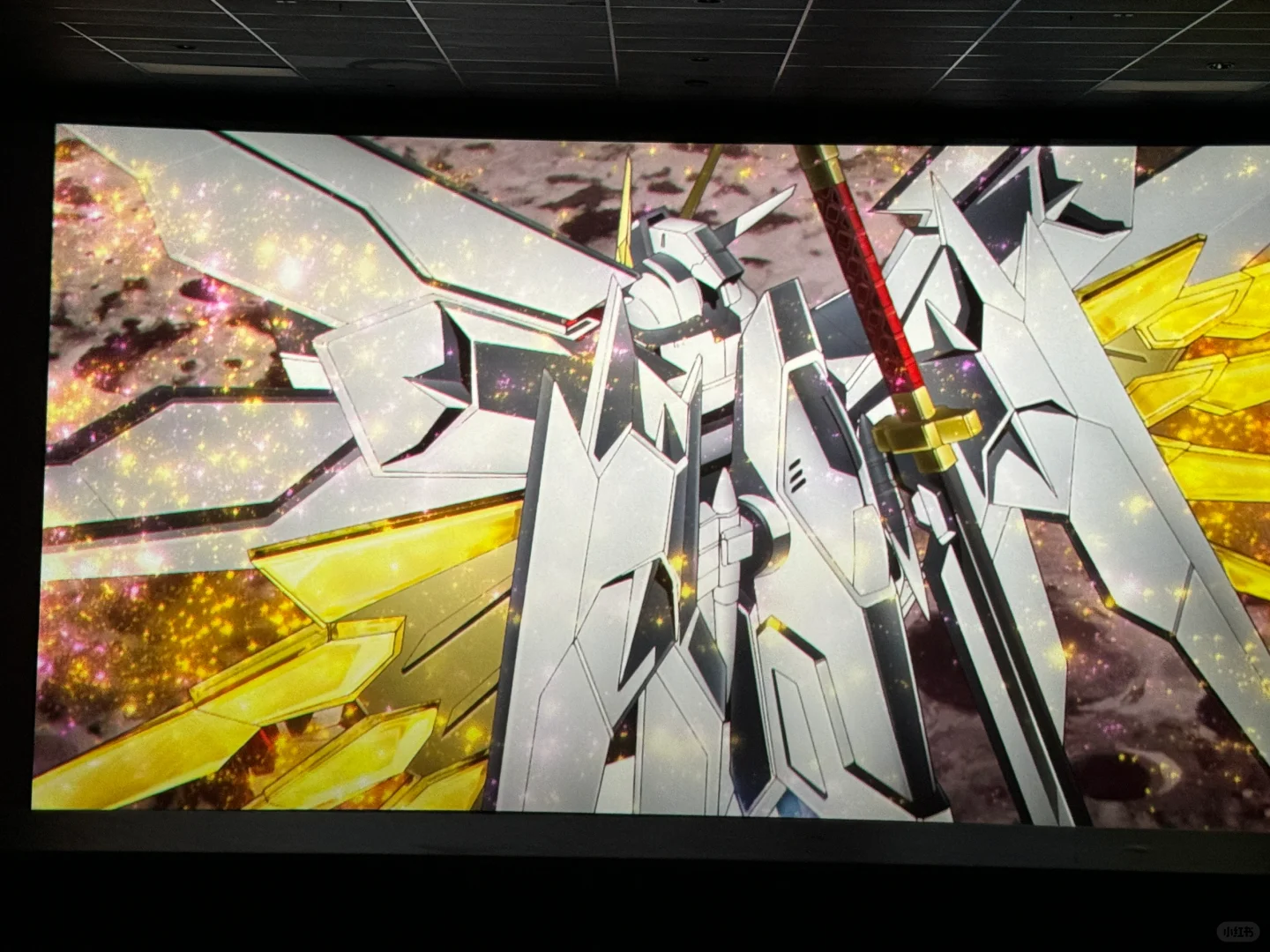 北美seed freedom电影