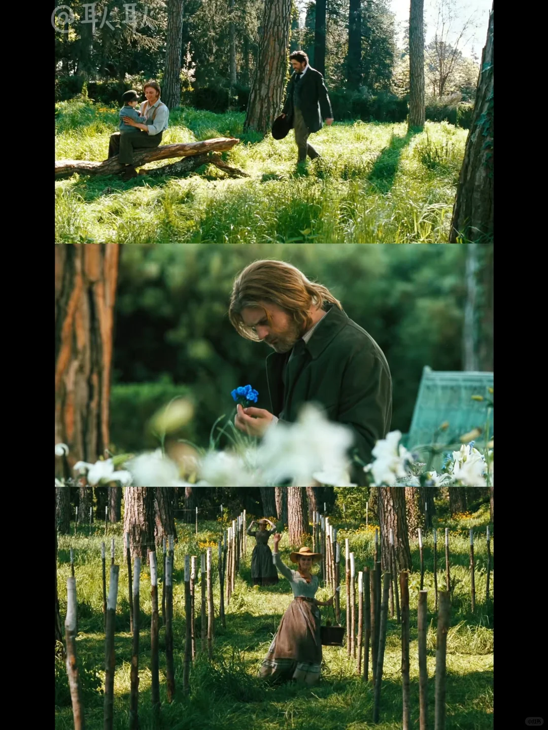 电影分享｜画面太治愈了吧😭再看无数遍❗