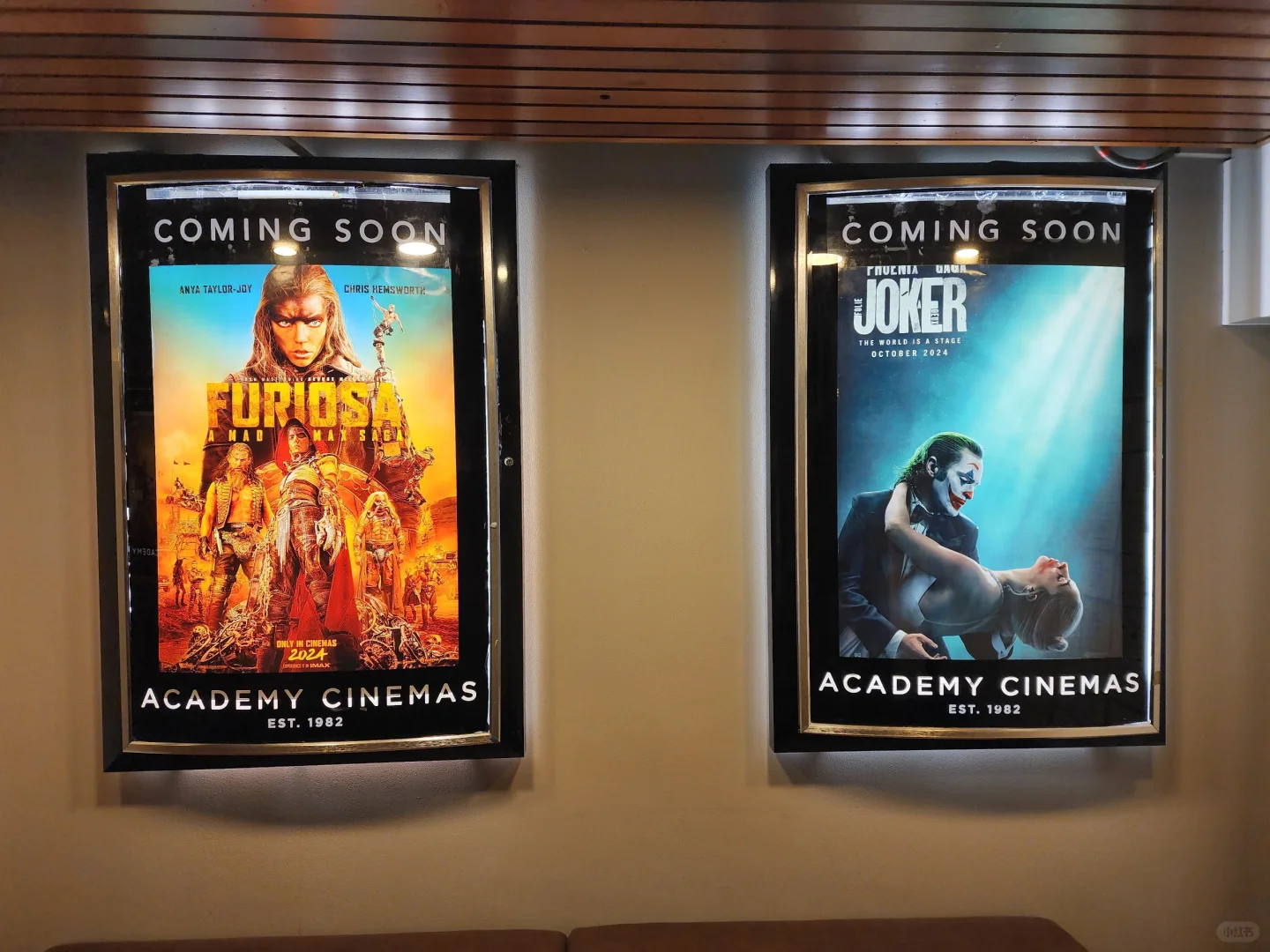 奥克兰5刀看电影🎦