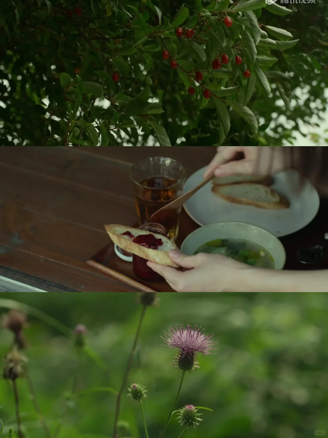 小森林文艺电影