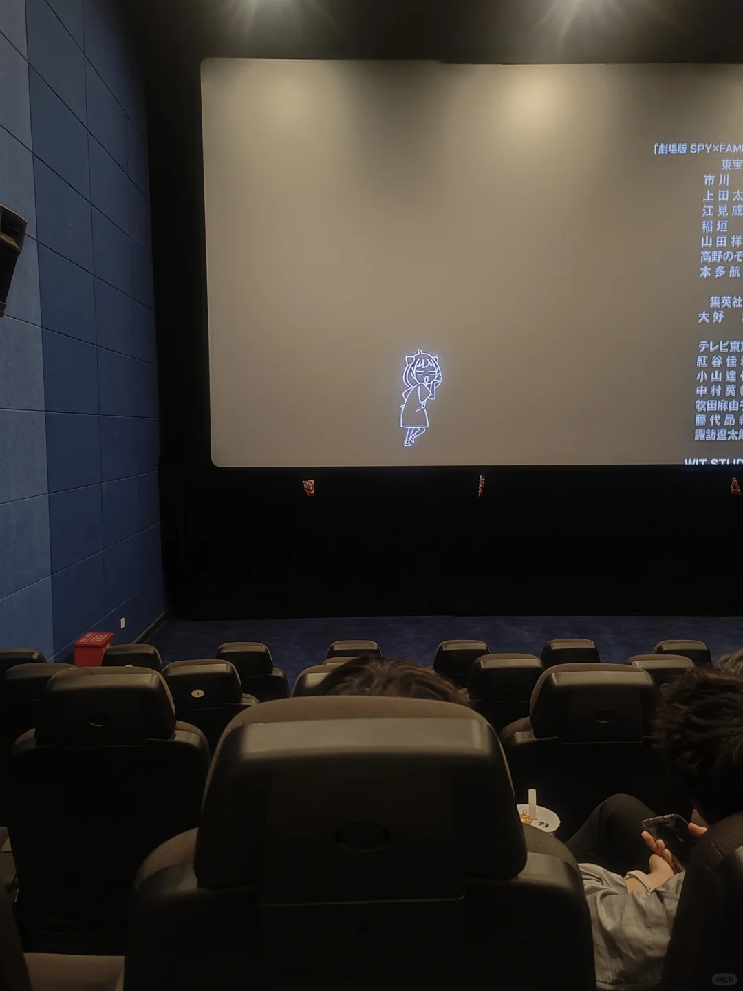 看了代号白电影！特地买了特别场，但是