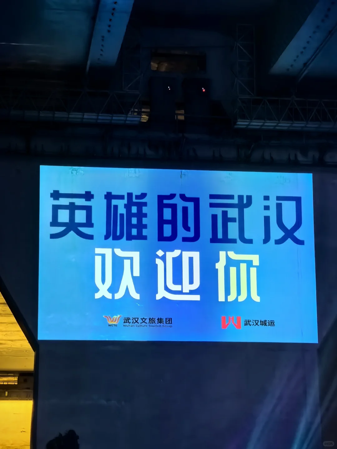 桥墩电影看了没