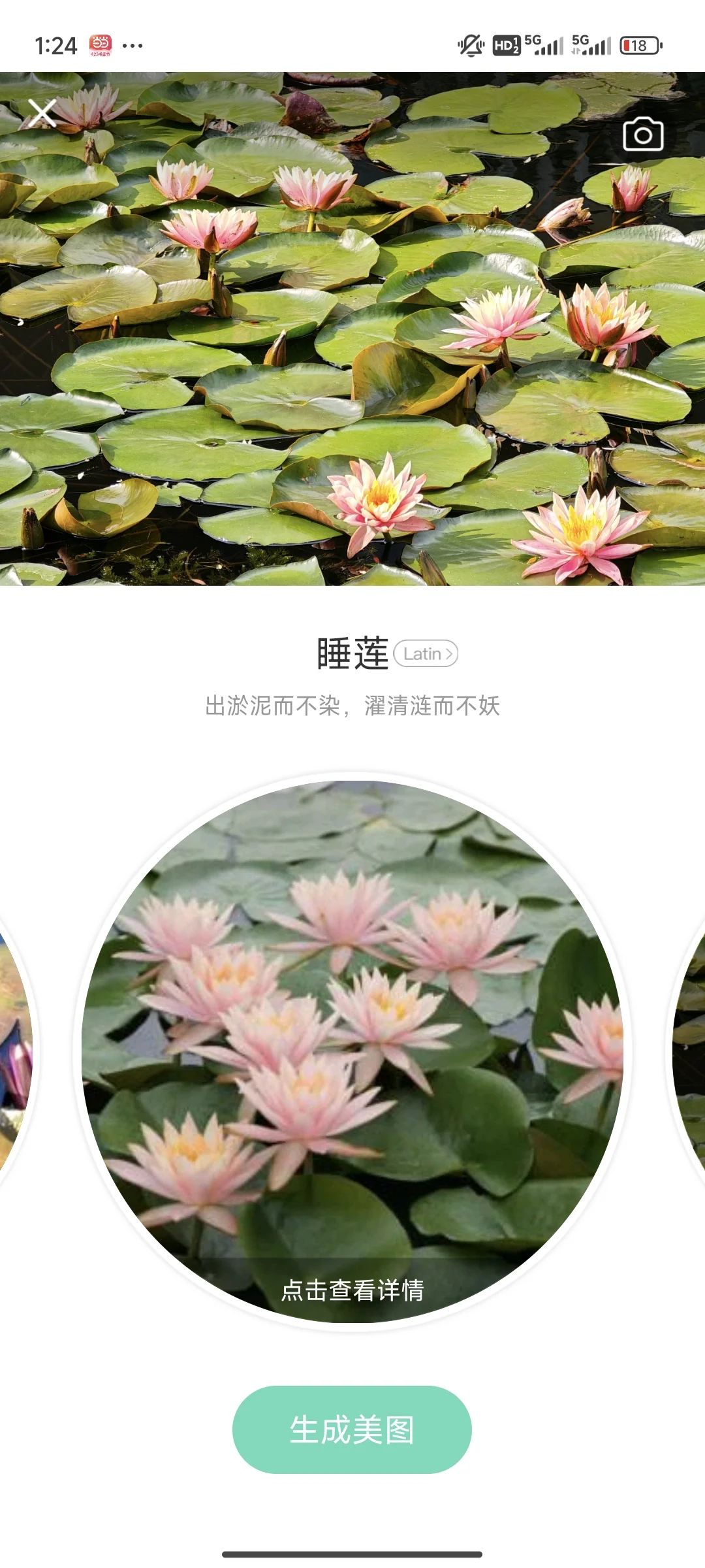 拍花人的福音丨植物分辨app