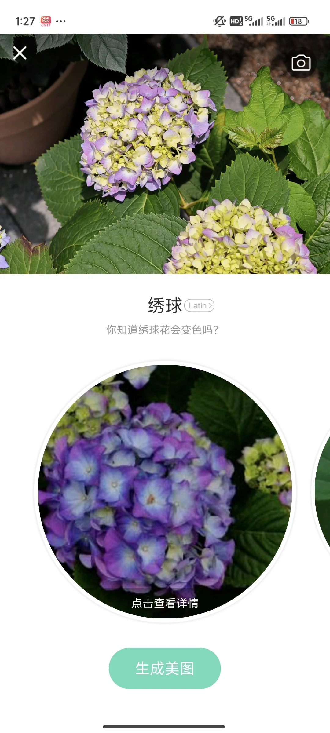 拍花人的福音丨植物分辨app