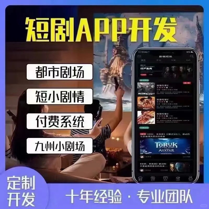 专业软件开发