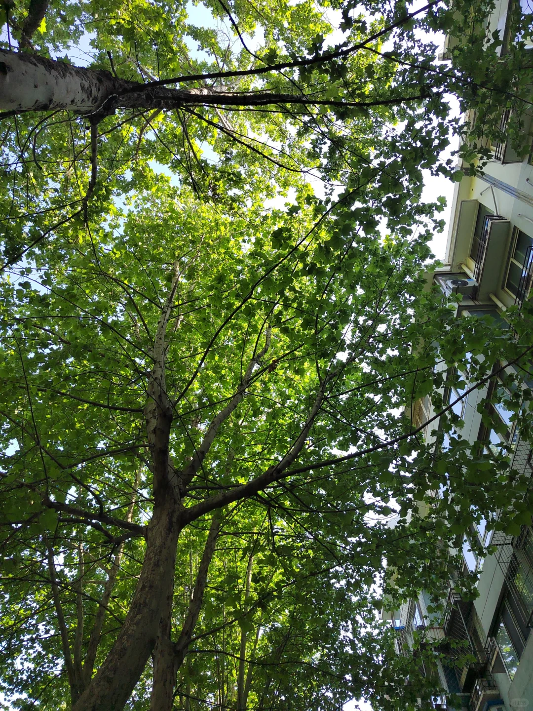 有空一定要去中国电影博物馆！