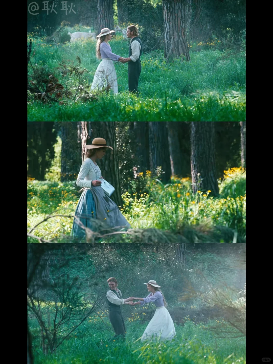 电影分享｜画面太治愈了吧😭再看无数遍❗