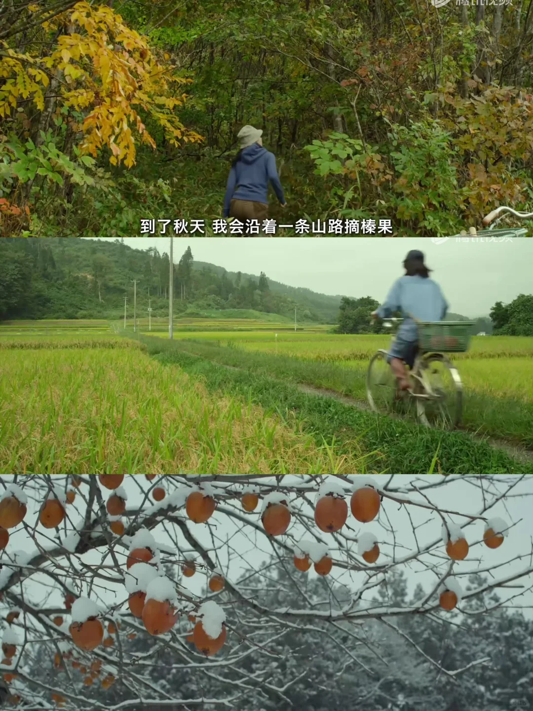 小森林文艺电影