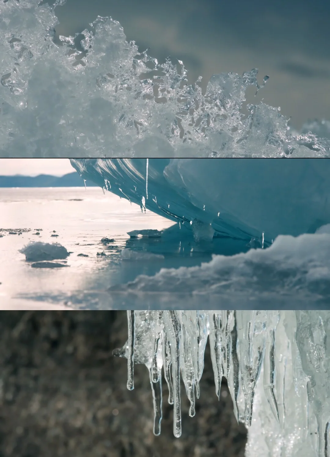 🎬低谷期必看的高能量电影‼️|“你是自由的”