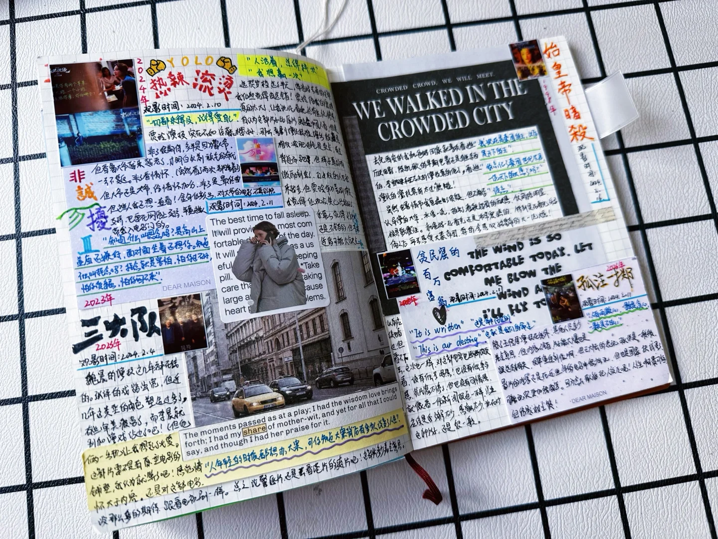 电影推荐🎬｜给你看看2024年以来的电影手帐