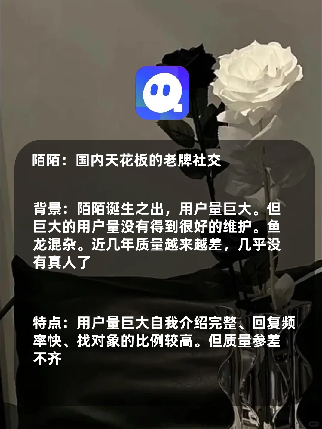 四款小众宝藏社交APP✨治愈孤独